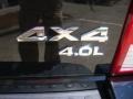 Black - Nitro R/T 4x4 Photo No. 31