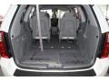 2009 Clear White Kia Sedona LX  photo #27