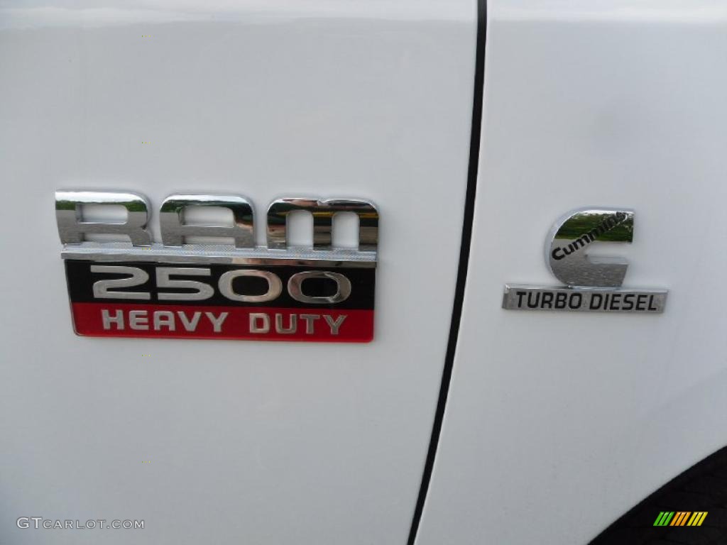 2010 Ram 2500 Big Horn Edition Crew Cab 4x4 - Bright White / Dark Slate/Medium Graystone photo #19