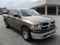 2010 Austin Tan Pearl Dodge Ram 1500 ST Crew Cab  photo #5
