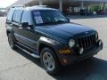 2005 Deep Beryl Green Pearl Jeep Liberty Renegade 4x4  photo #5