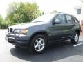 2003 Steel Grey Metallic BMW X5 3.0i  photo #15