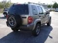 Light Khaki Metallic - Liberty Sport 4x4 Columbia Edition Photo No. 4