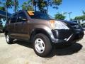 Mojave Mist Metallic - CR-V LX Photo No. 1