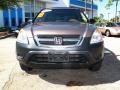 Mojave Mist Metallic - CR-V LX Photo No. 7