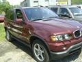 2001 Mohogany Brown Metallic BMW X5 3.0i  photo #3