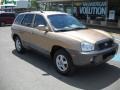 Sandstone 2003 Hyundai Santa Fe GLS 4WD