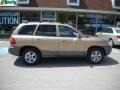 Sandstone - Santa Fe GLS 4WD Photo No. 2