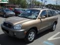 Sandstone - Santa Fe GLS 4WD Photo No. 14
