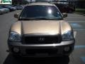 Sandstone - Santa Fe GLS 4WD Photo No. 15