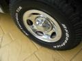 2002 Silver Metallic Ford F150 XLT SuperCab  photo #10