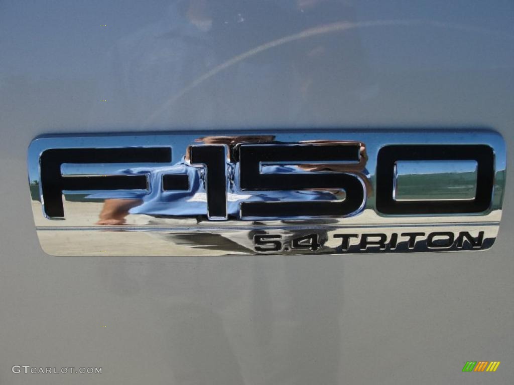 2004 F150 FX4 SuperCab 4x4 - Silver Metallic / Black/Medium Flint photo #18