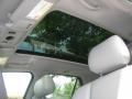Blue Chip Metallic - SRX V6 Photo No. 21