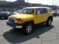Sun Fusion Yellow - FJ Cruiser 4WD Photo No. 16