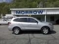 Bright Silver - Santa Fe GLS 4WD Photo No. 1