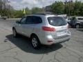 Bright Silver - Santa Fe GLS 4WD Photo No. 4