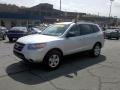 Bright Silver - Santa Fe GLS 4WD Photo No. 16