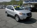 Bright Silver - Santa Fe GLS 4WD Photo No. 18
