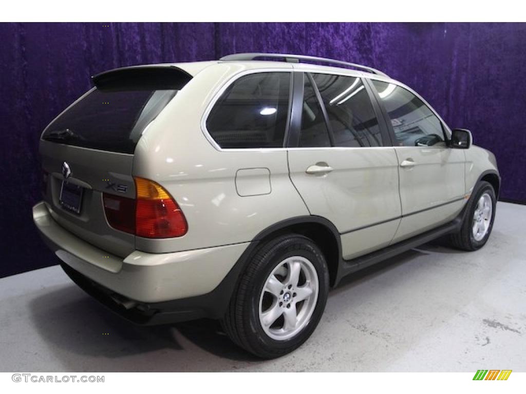 2002 X5 4.4i - Pearl Beige Metallic / Beige photo #42