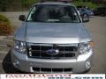 2010 Ingot Silver Metallic Ford Escape XLT V6 4WD  photo #3