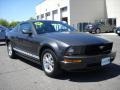 2007 Alloy Metallic Ford Mustang V6 Premium Coupe  photo #1