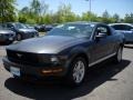 2007 Alloy Metallic Ford Mustang V6 Premium Coupe  photo #7