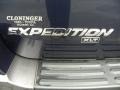 True Blue Metallic - Expedition XLT 4x4 Photo No. 16