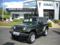 2008 Jeep Green Metallic Jeep Wrangler Sahara 4x4  photo #1