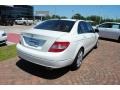 Arctic White - C 300 Luxury Photo No. 7
