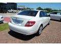 2008 Arctic White Mercedes-Benz C 300 Luxury  photo #7