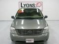 2005 Spruce Green Metallic Ford Freestar SE  photo #10