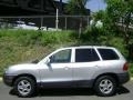 Pewter - Santa Fe GLS AWD Photo No. 3