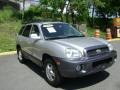 Pewter - Santa Fe GLS AWD Photo No. 4