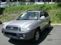 Pewter - Santa Fe GLS AWD Photo No. 6