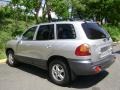 Pewter - Santa Fe GLS AWD Photo No. 7