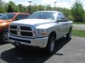 2010 Bright Silver Metallic Dodge Ram 2500 SLT Regular Cab 4x4  photo #1