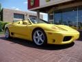 Fly Yellow - 360 Spider Photo No. 3