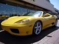 Fly Yellow - 360 Spider Photo No. 6