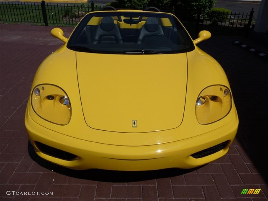 2002 360 Spider - Fly Yellow / Black photo #10