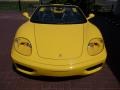 Fly Yellow - 360 Spider Photo No. 10