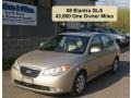 Laguna Sand Metallic - Elantra GLS Sedan Photo No. 1
