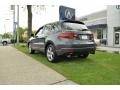Carbon Gray Pearl - RDX  Photo No. 7