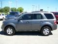 2010 Sterling Grey Metallic Ford Escape XLT  photo #2