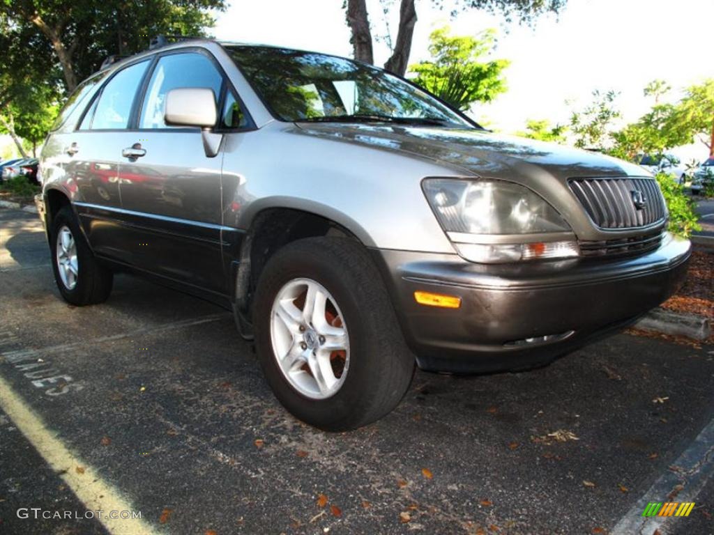 1999 RX 300 - Burnished Gold Metallic / Ivory photo #1