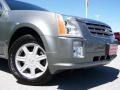 Silver Smoke Metallic - SRX V6 Photo No. 2