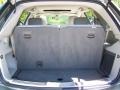 Linen Gold Metallic Pearl - Pacifica Touring Photo No. 14