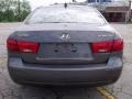 Willow Gray - Sonata GLS Photo No. 4