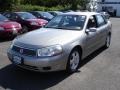Pewter - L Series L200 Sedan Photo No. 1