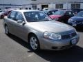 Pewter - L Series L200 Sedan Photo No. 3