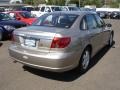 Pewter - L Series L200 Sedan Photo No. 4